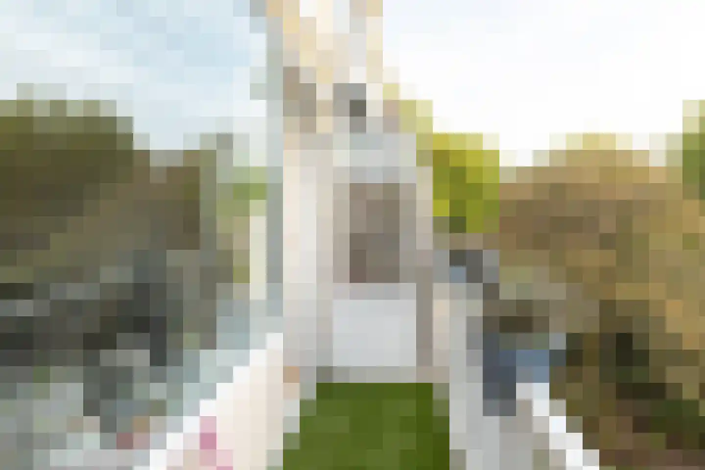 Karel Doormanlaan 192 Hilversum thumbnail 23