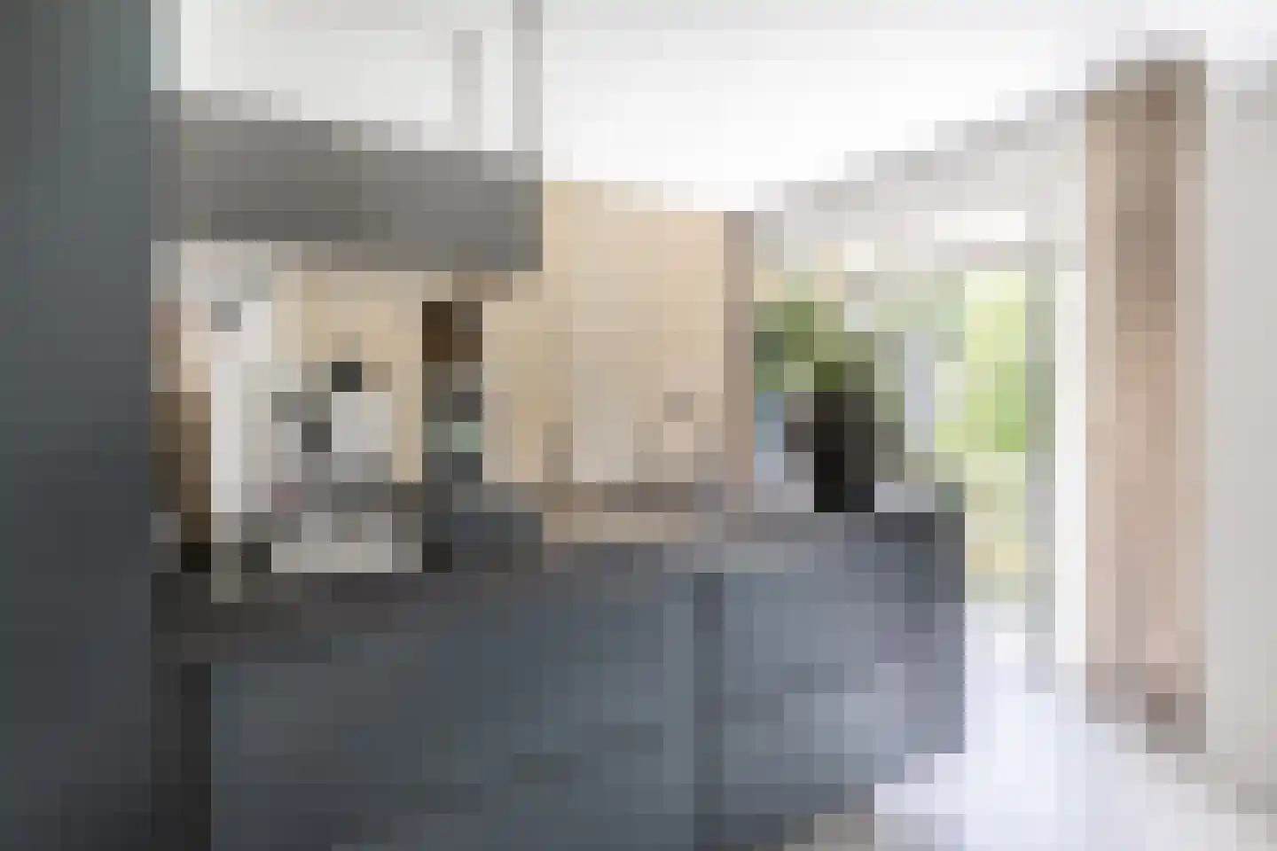 Karel Doormanlaan 198 Utrecht thumbnail 13