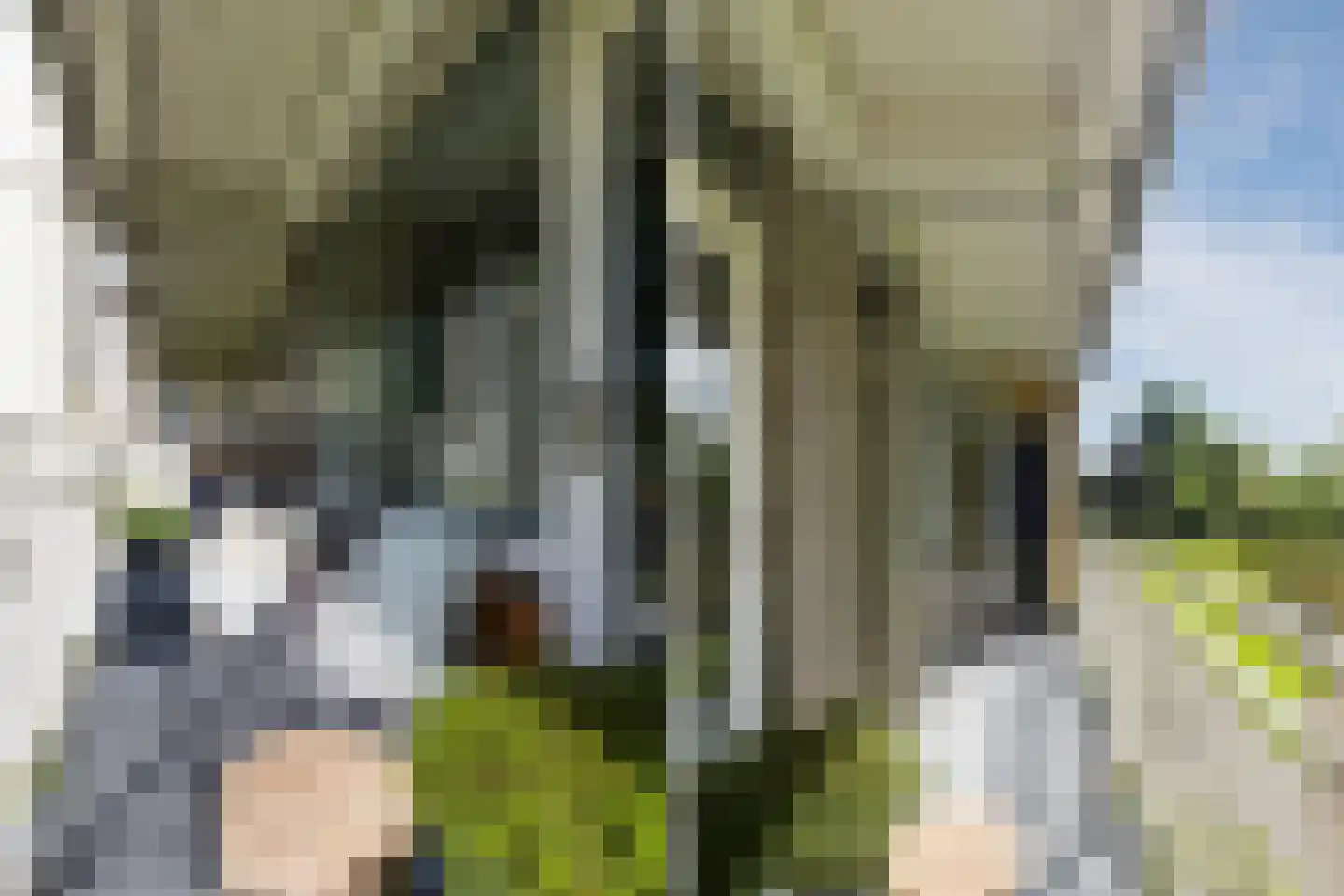 Karel Doormanlaan 198 Utrecht thumbnail 15