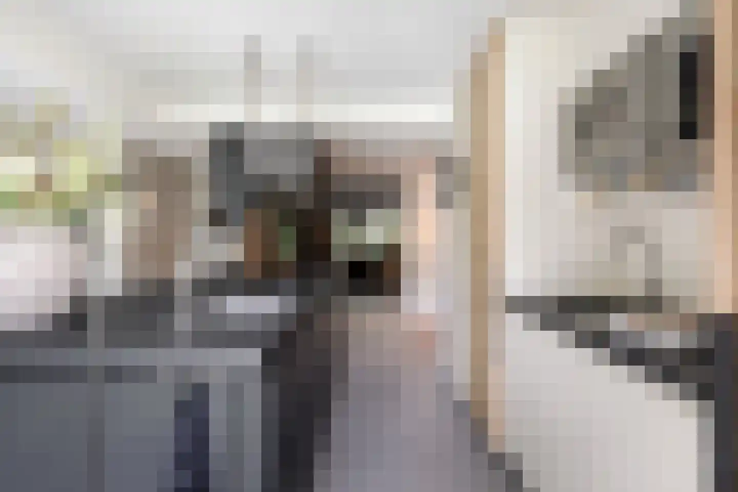 Karel Doormanlaan 198 Utrecht thumbnail 15