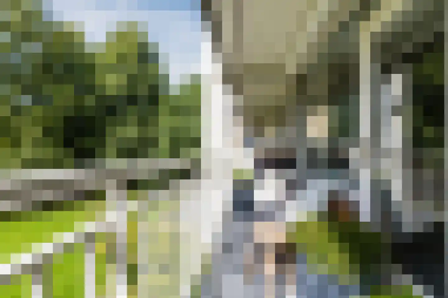 Karel Doormanlaan 198 Utrecht thumbnail 18