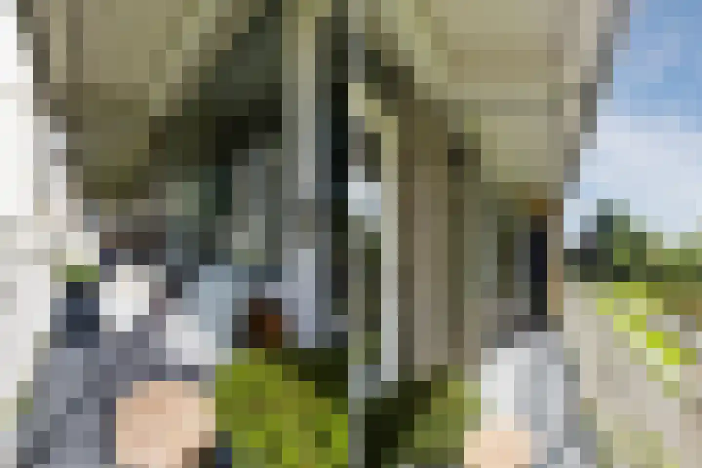 Karel Doormanlaan 198 Utrecht thumbnail 19