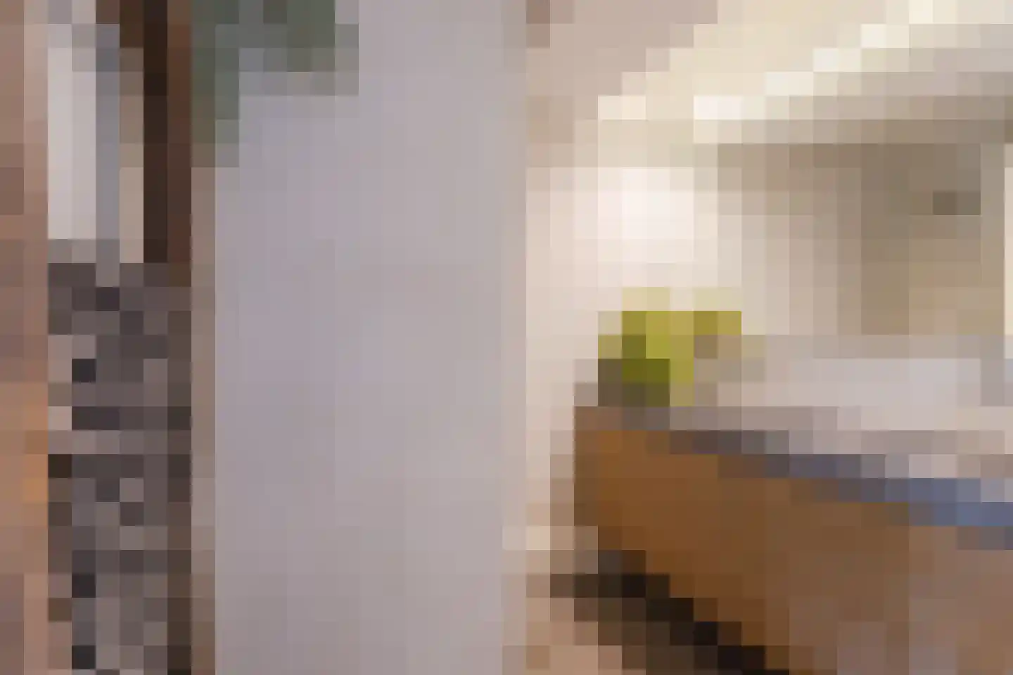 Karel Doormanlaan 198 Utrecht thumbnail 25