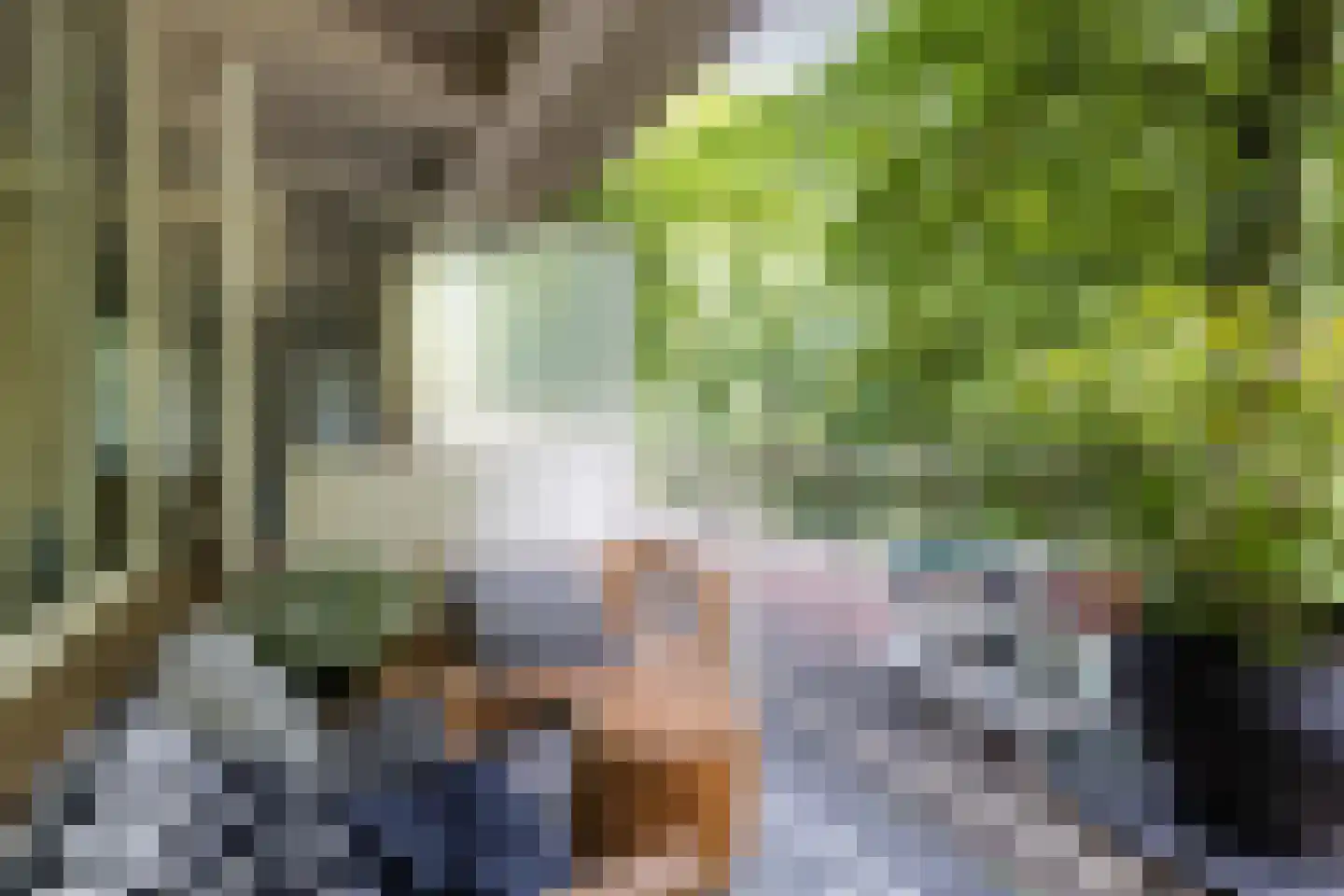 Karel Doormanlaan 198 Utrecht thumbnail 36