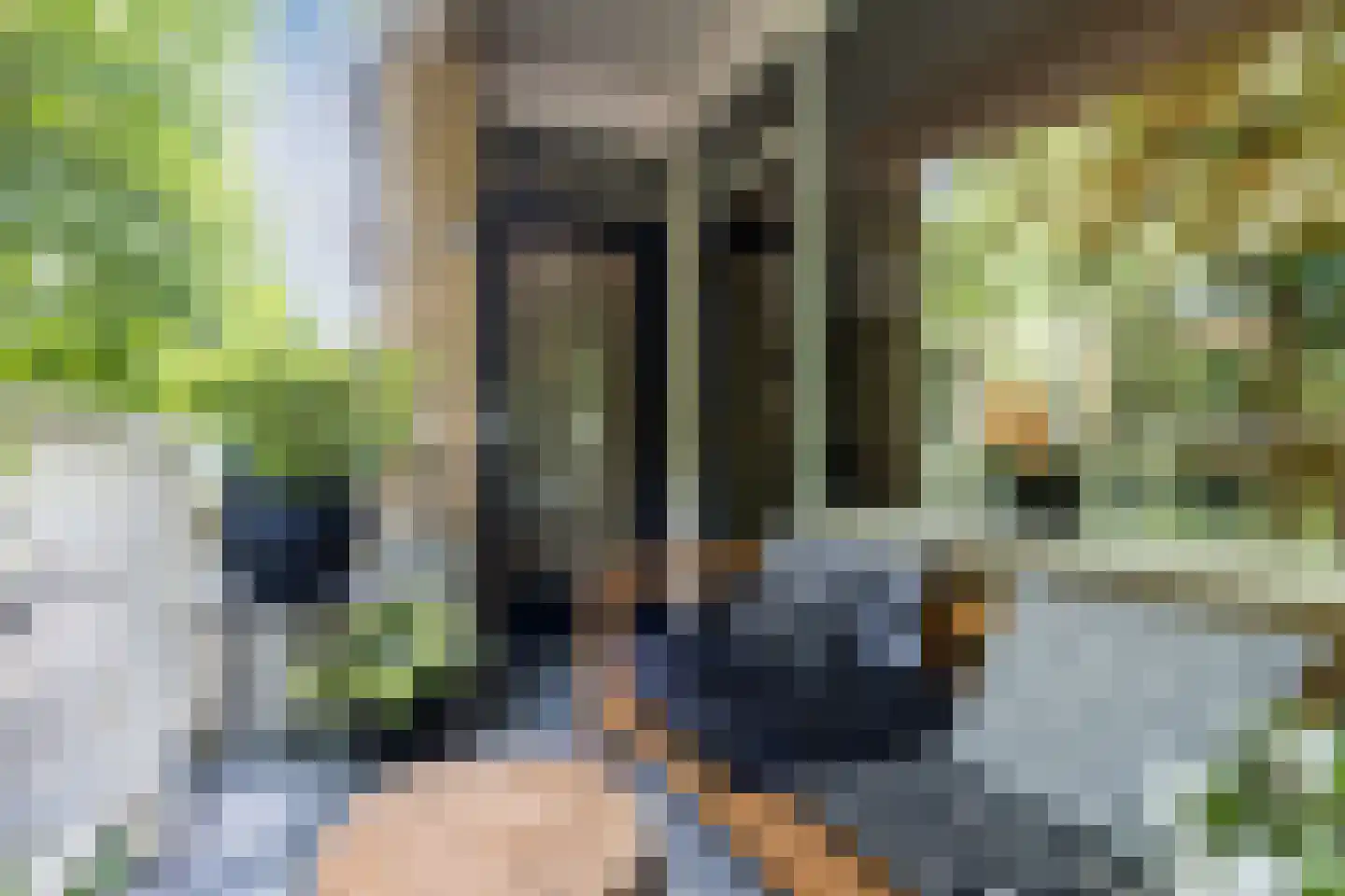Karel Doormanlaan 198 Utrecht thumbnail 38