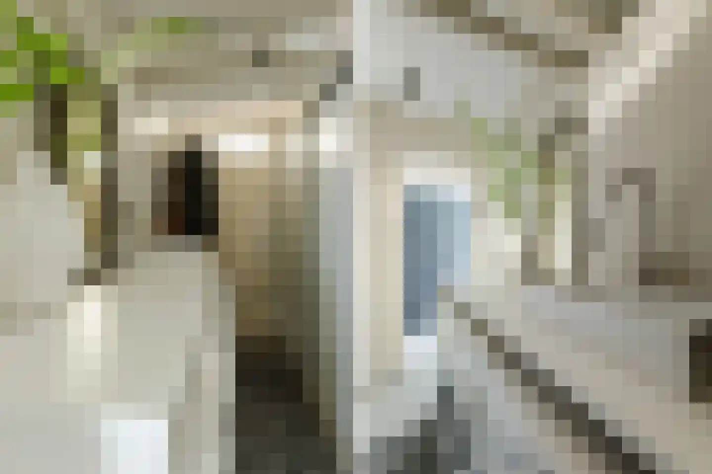 Karel Doormanlaan 198 Utrecht thumbnail 44