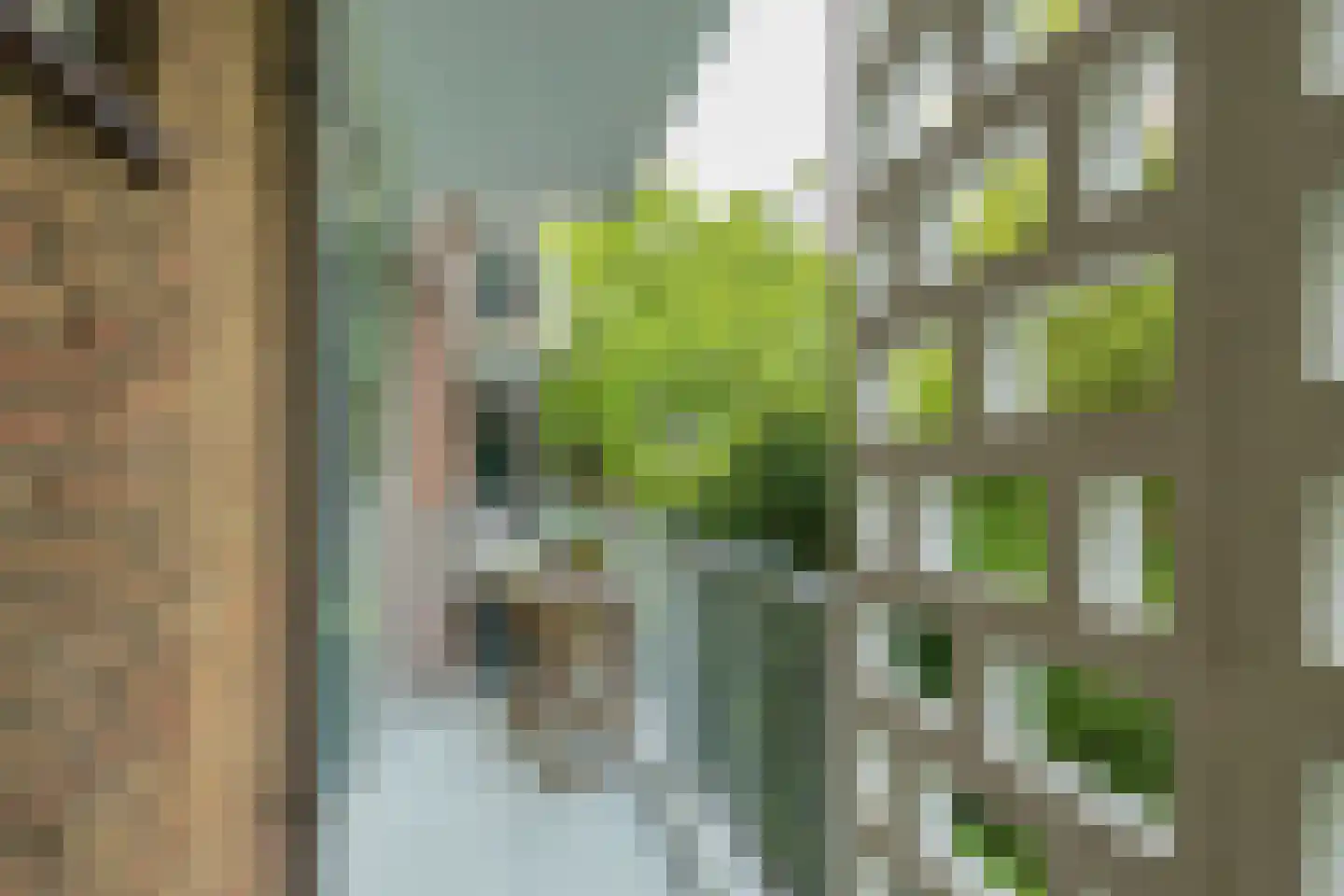 Karel Doormanlaan 20 Oegstgeest thumbnail 29
