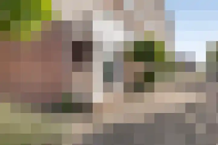 Karel Doormanlaan 201 Zoetermeer thumbnail 6
