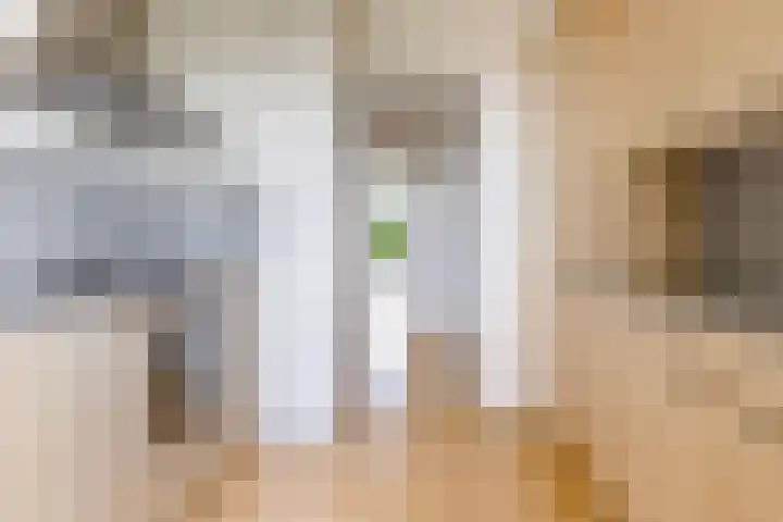 Karel Doormanlaan 21 Utrecht thumbnail 16