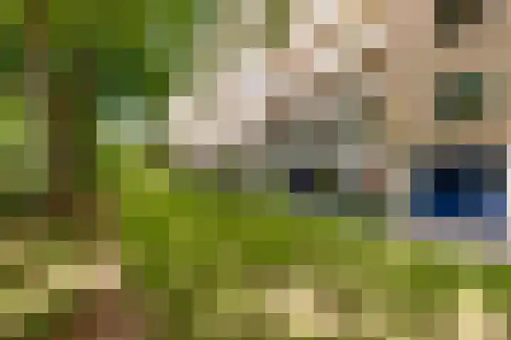Karel Doormanlaan 21 Utrecht thumbnail 30