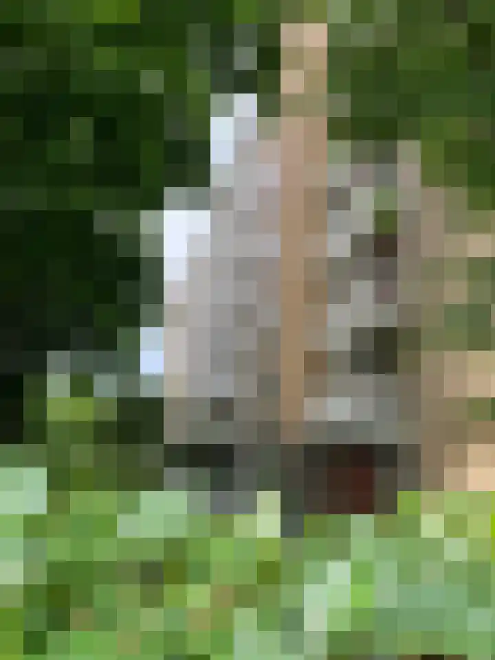 Karel Doormanlaan 21 Utrecht thumbnail 31