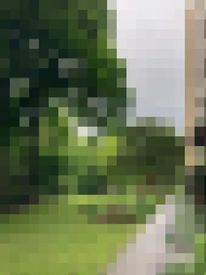 Karel Doormanlaan 21 Utrecht thumbnail 32