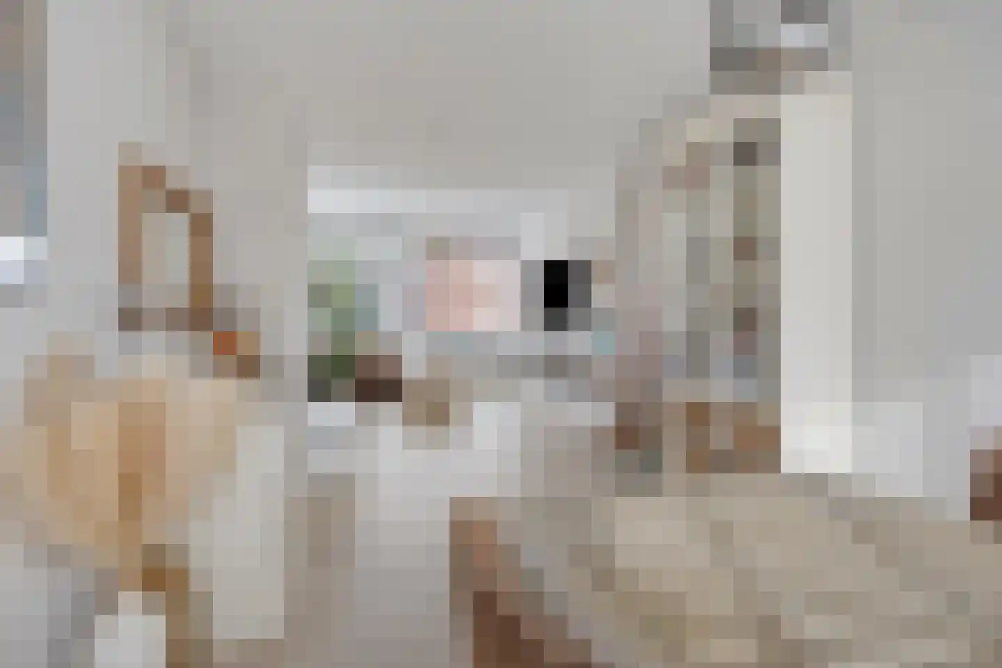 Karel Doormanlaan 211 Zoetermeer thumbnail 19