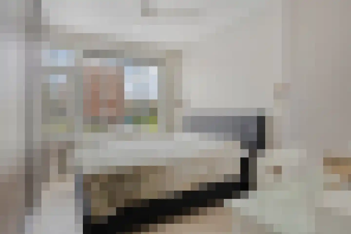 Karel Doormanlaan 211 Zoetermeer thumbnail 26
