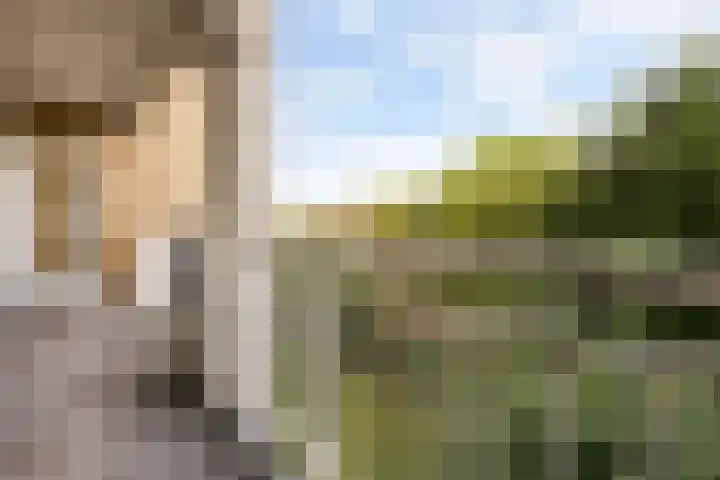 Karel Doormanlaan 212 Utrecht thumbnail 13