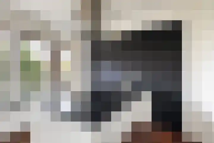 Karel Doormanlaan 212 Utrecht thumbnail 14