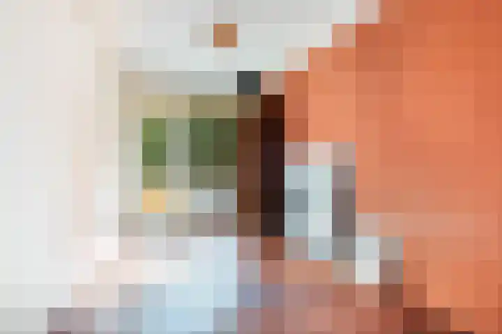 Karel Doormanlaan 212 Utrecht thumbnail 18