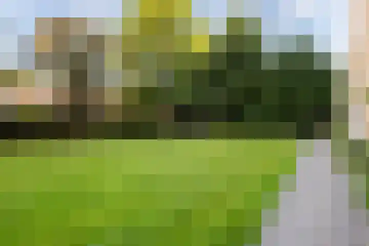 Karel Doormanlaan 212 Utrecht thumbnail 30