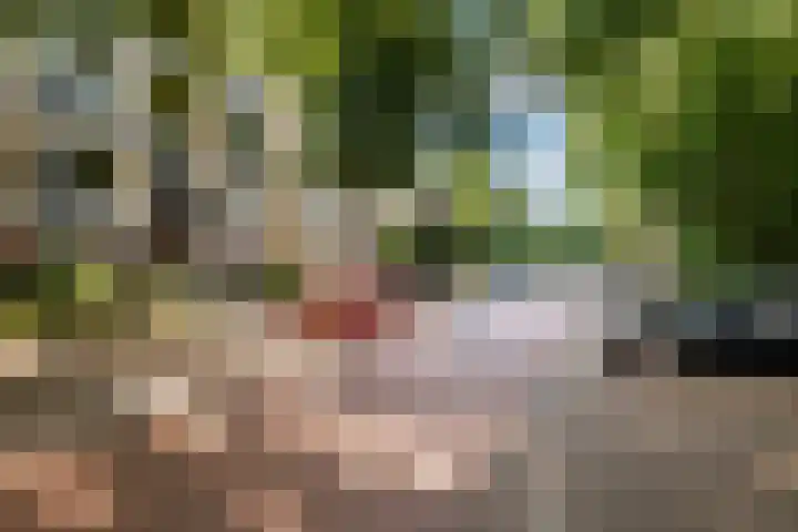 Karel Doormanlaan 212 Utrecht thumbnail 5
