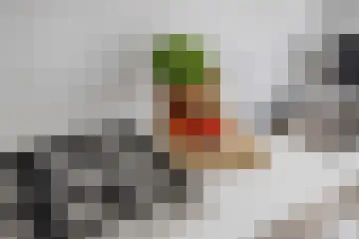 Karel Doormanlaan 22 Oegstgeest thumbnail 15