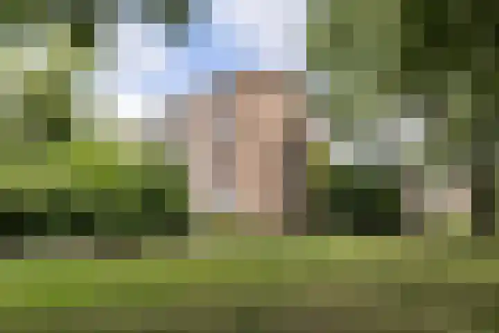 Karel Doormanlaan 22 Oegstgeest thumbnail 30