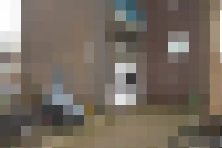 Karel Doormanlaan 220 Hilversum thumbnail 28