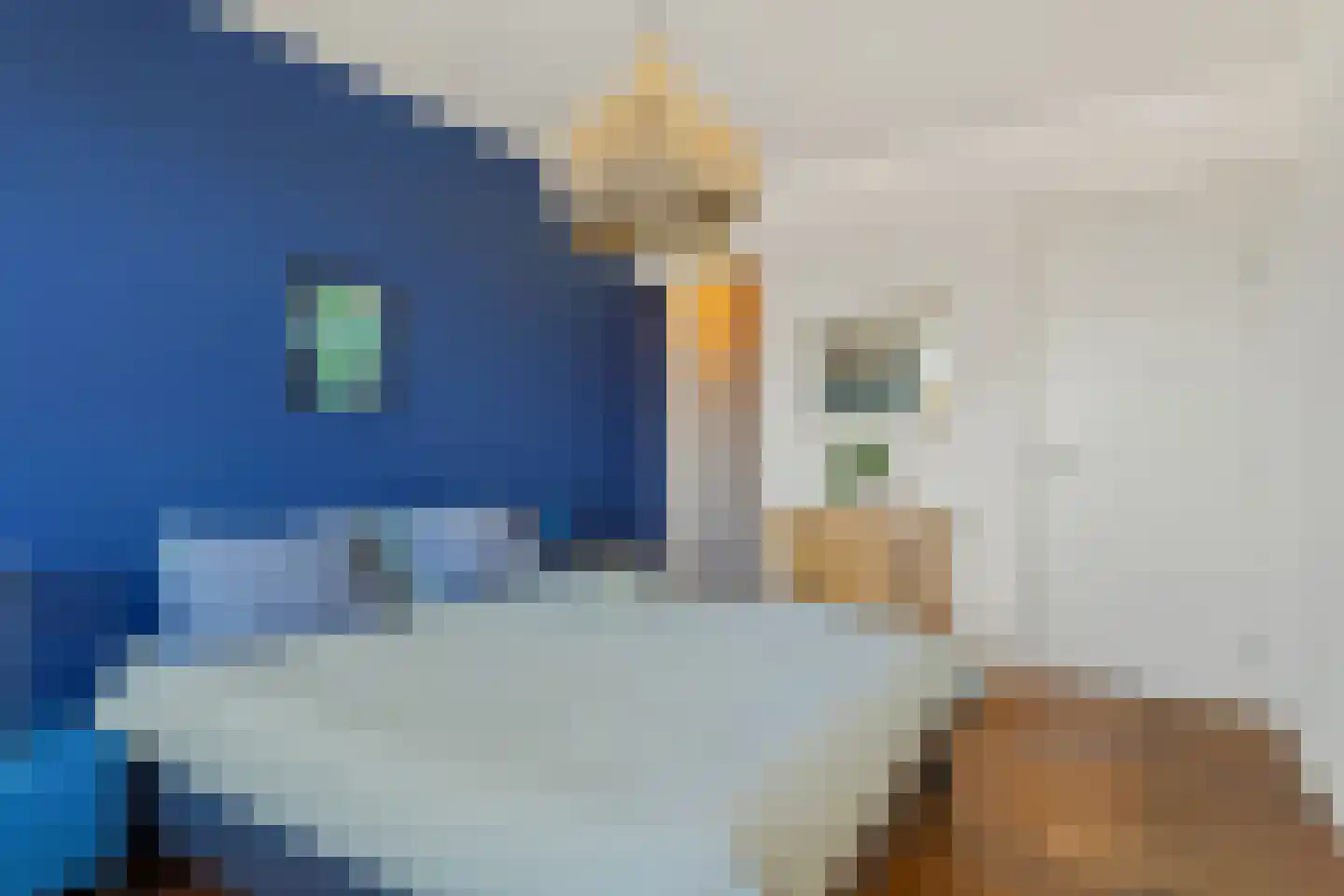 Karel Doormanlaan 222 Utrecht thumbnail 25