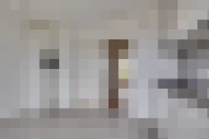 Karel Doormanlaan 224 Utrecht thumbnail 9