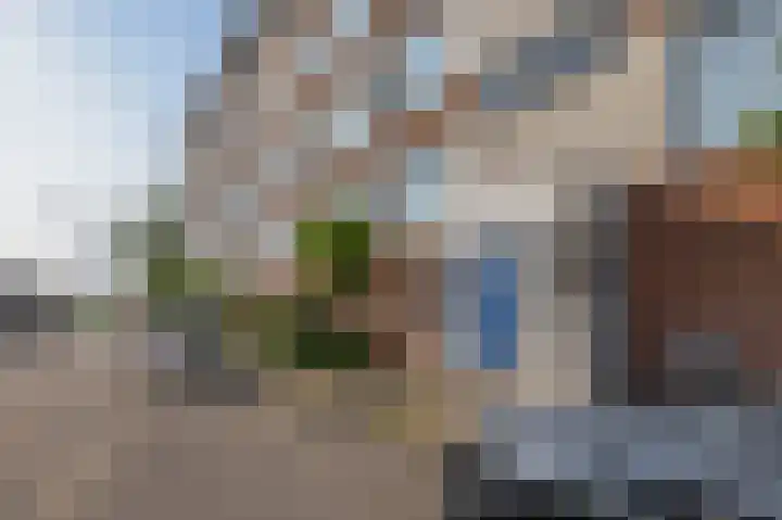 Karel Doormanlaan 239 Zoetermeer thumbnail 8