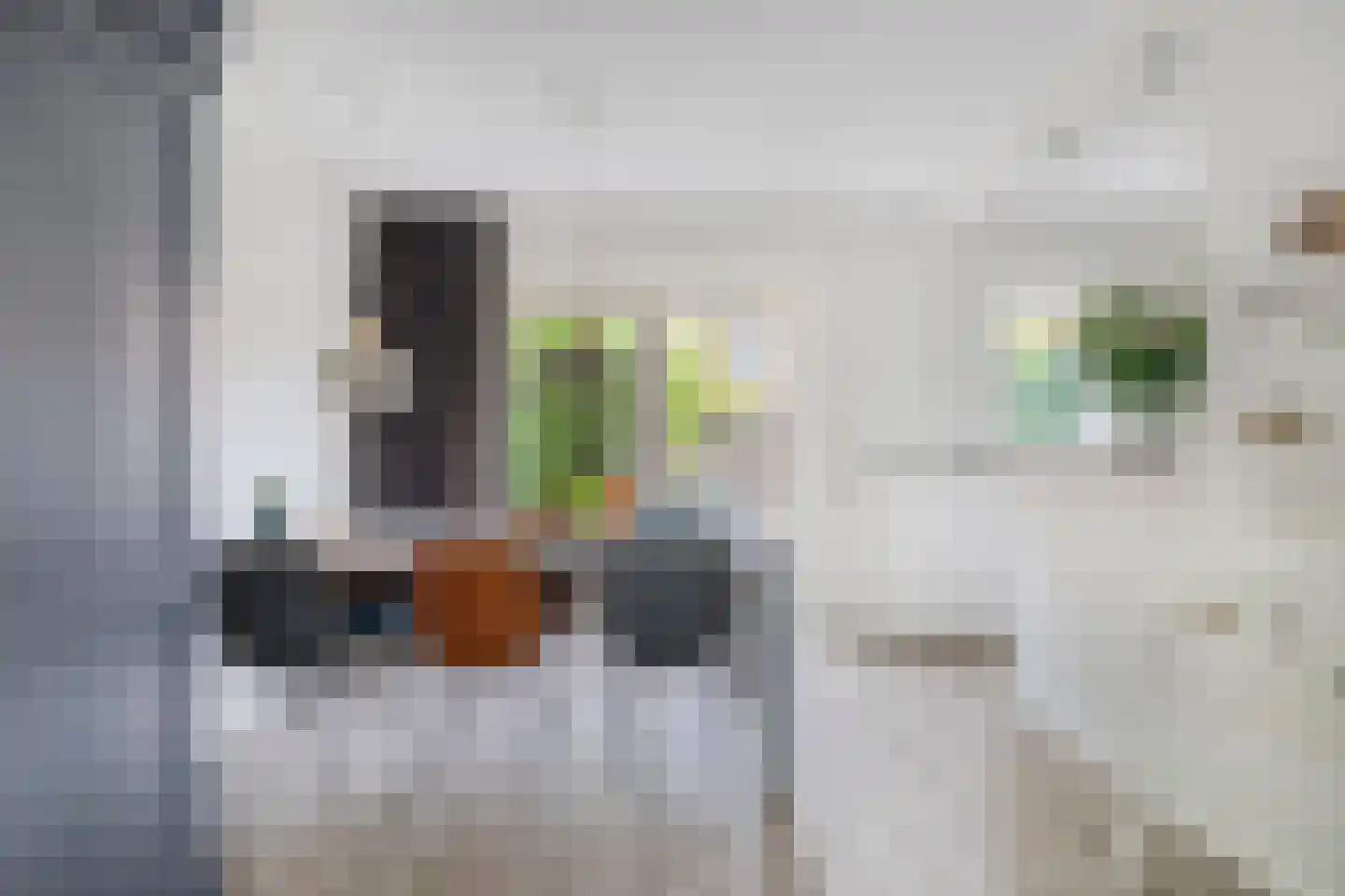 Karel Doormanlaan 25 Breda thumbnail 14