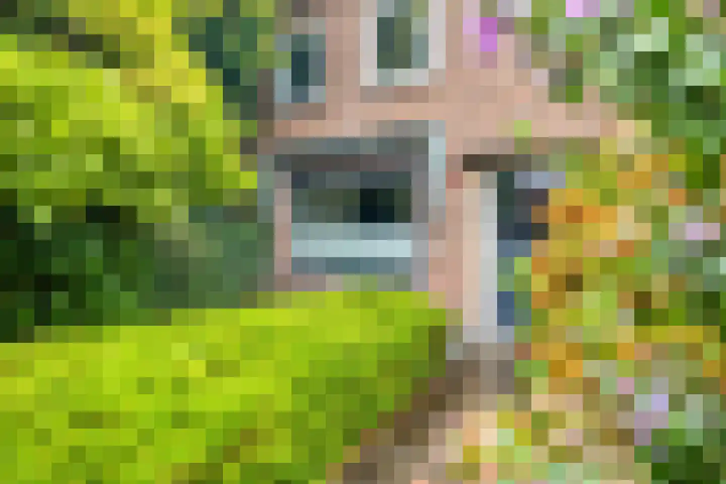 Karel Doormanlaan 25 Breda thumbnail 39
