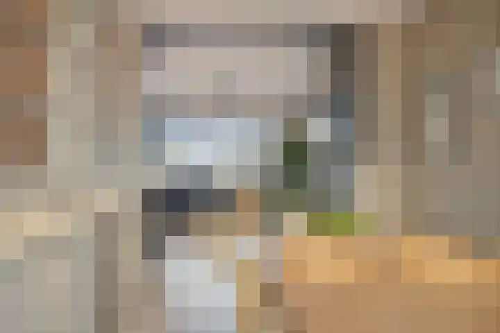Karel Doormanlaan 253 Zoetermeer thumbnail 6