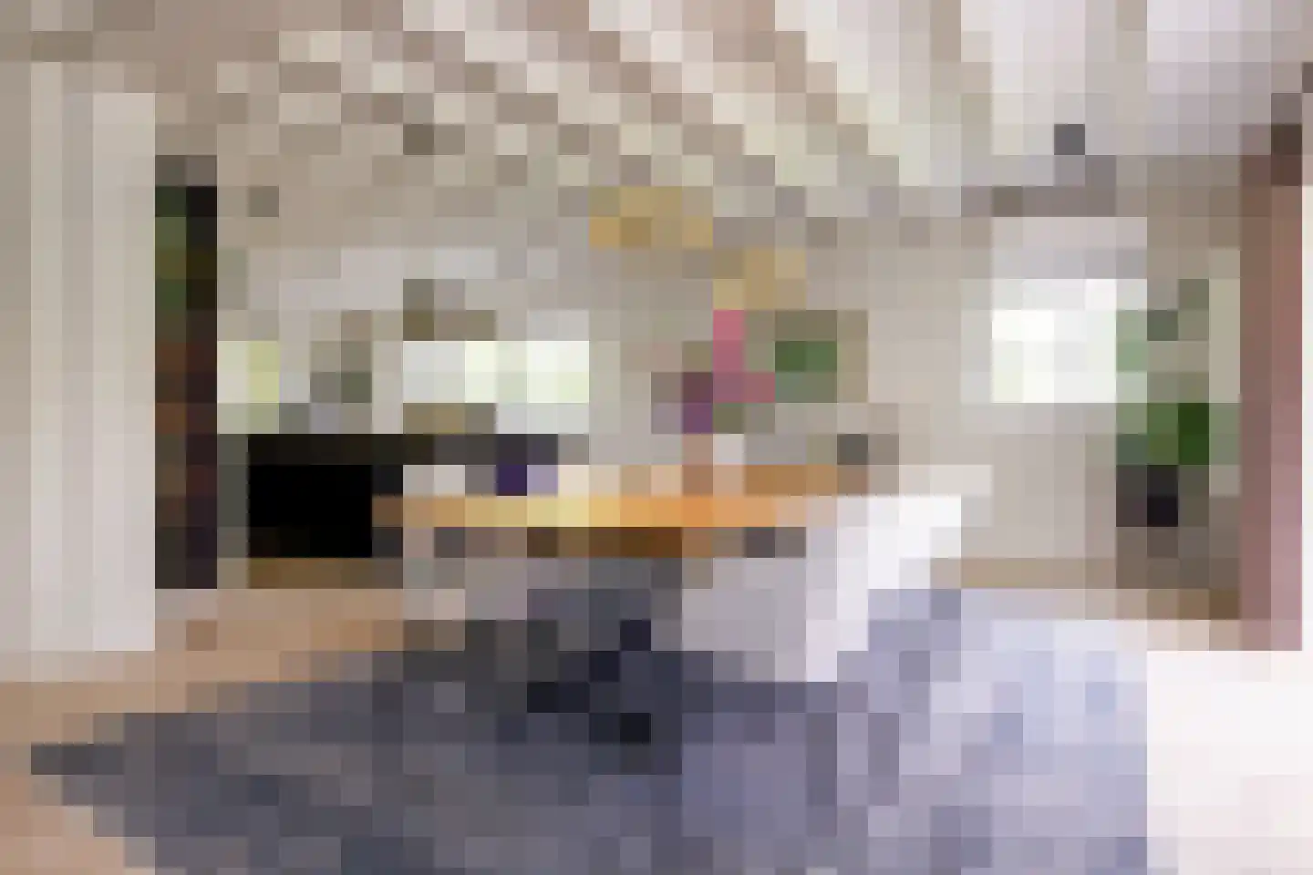 Karel Doormanlaan 3 Aerdenhout thumbnail 6