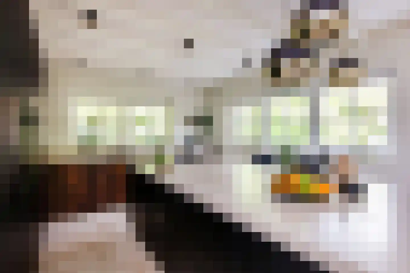 Karel Doormanlaan 3 Aerdenhout thumbnail 8