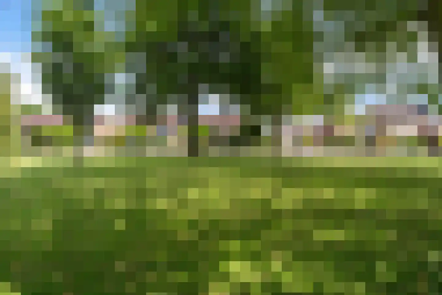Karel Doormanlaan 30 Woudenberg thumbnail 51