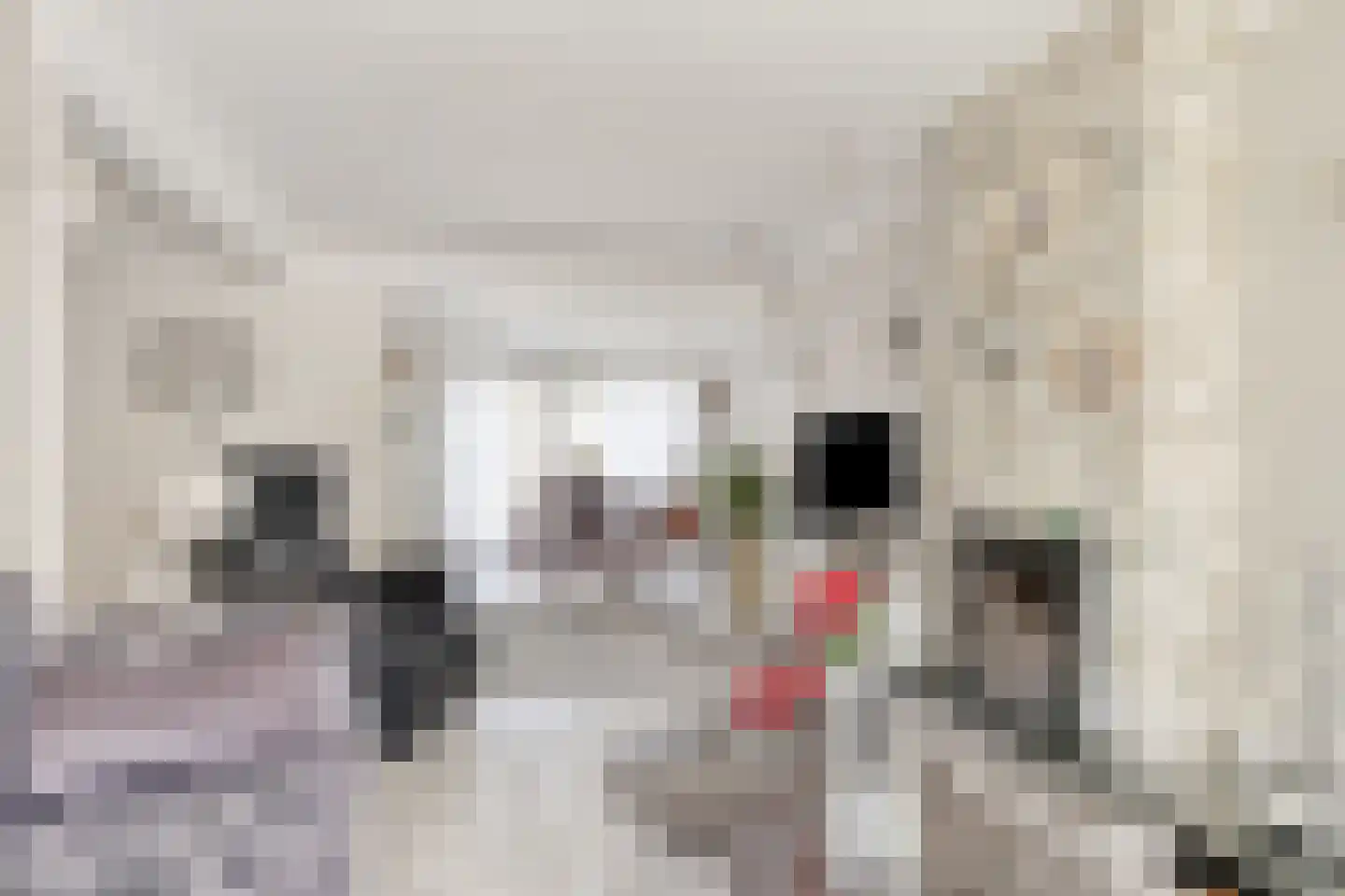 Karel Doormanlaan 31 Breskens thumbnail 5