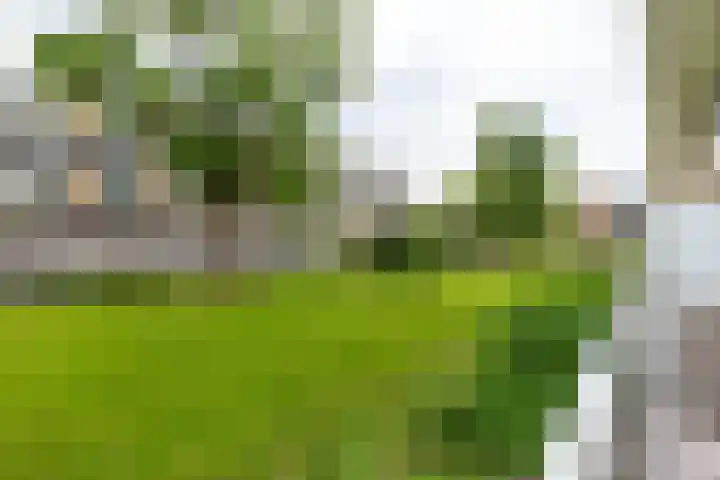 Karel Doormanlaan 316 Hilversum thumbnail 11