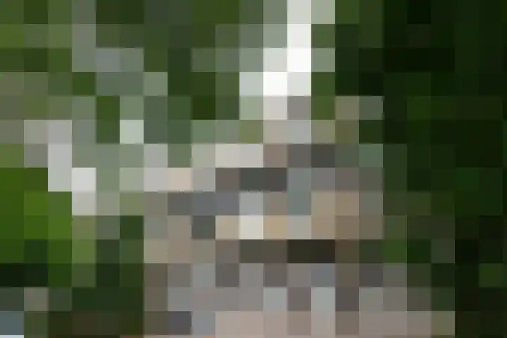 Karel Doormanlaan 316 Hilversum thumbnail 29