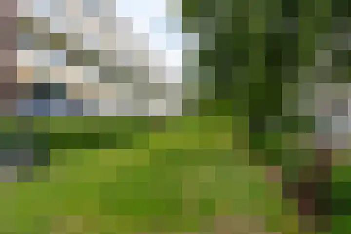 Karel Doormanlaan 316 Hilversum thumbnail 30