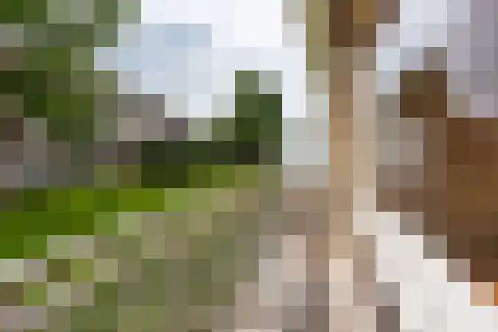 Karel Doormanlaan 316 Hilversum thumbnail 8