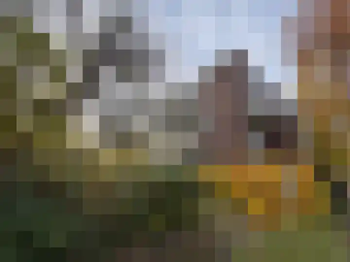 Karel Doormanlaan 318 Hilversum thumbnail 4