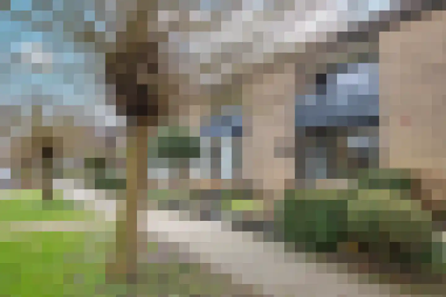 Karel Doormanlaan 32 Woudenberg thumbnail 35