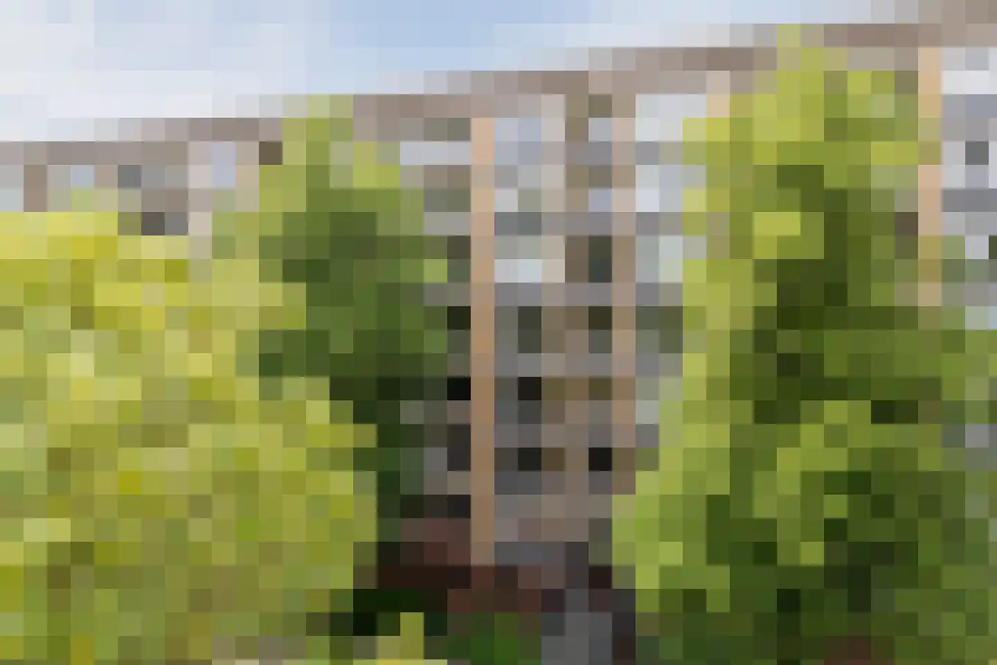 Karel Doormanlaan 33 Utrecht thumbnail 5