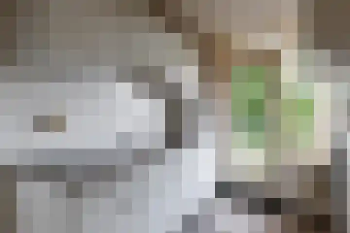 Karel Doormanlaan 34 Utrecht thumbnail 7