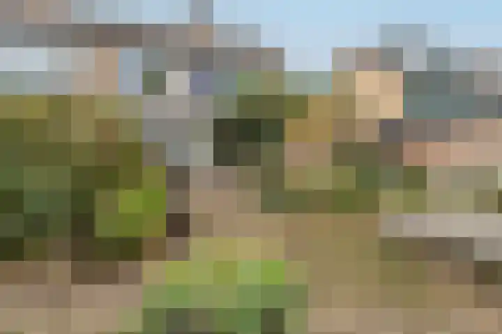 Karel Doormanlaan 36 Woudenberg thumbnail 33