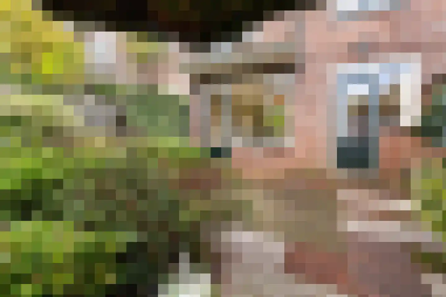 Karel Doormanlaan 37 Oegstgeest thumbnail 54