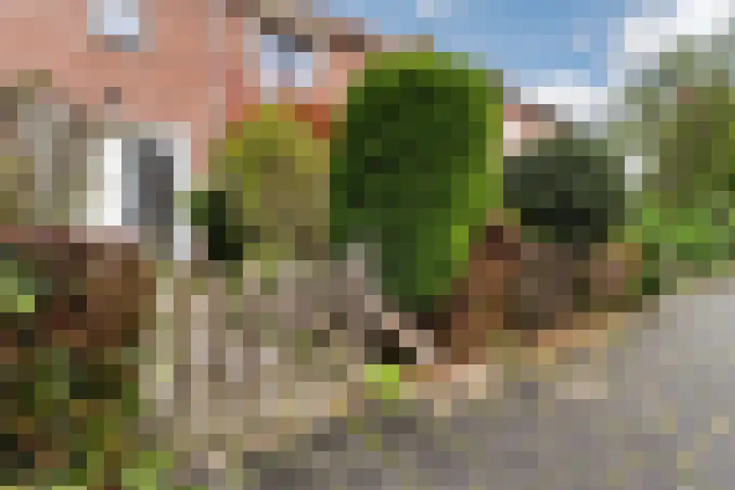 Karel Doormanlaan 37 Oegstgeest thumbnail 7