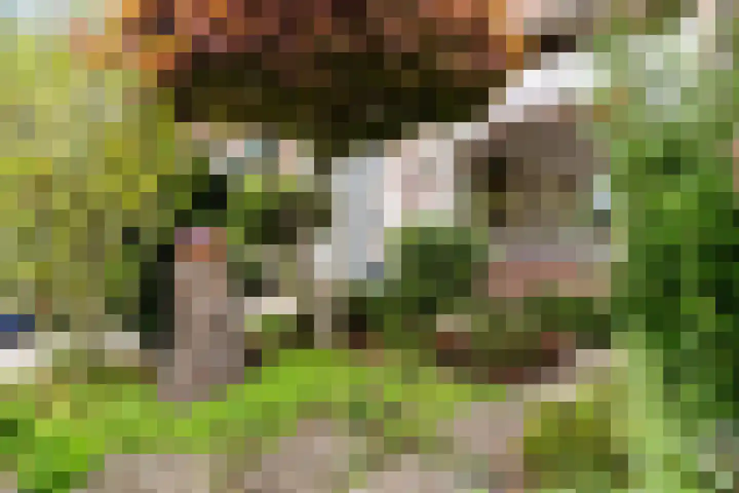 Karel Doormanlaan 37 Oegstgeest thumbnail 8