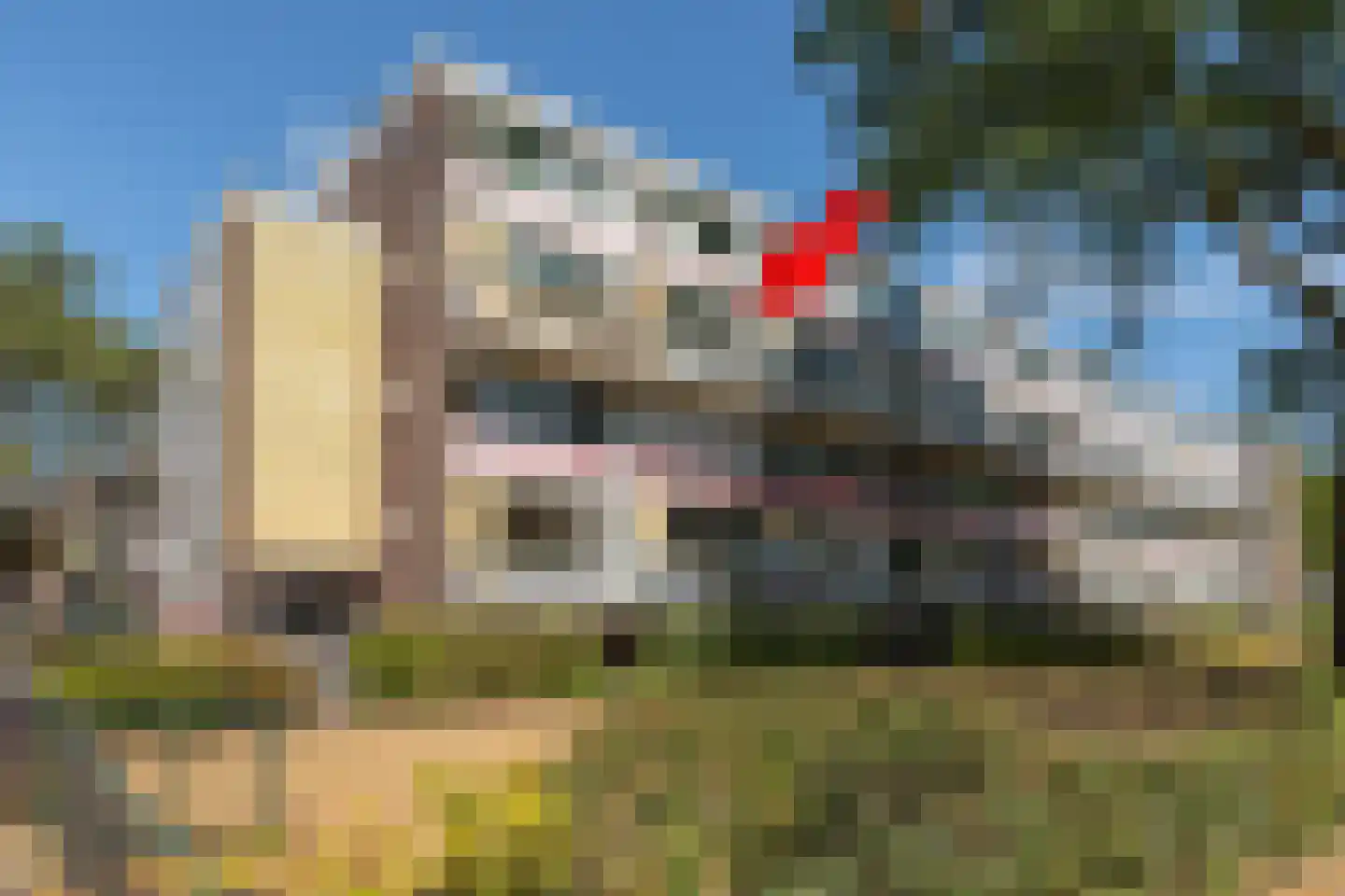 Karel Doormanlaan 378 Hilversum thumbnail 23