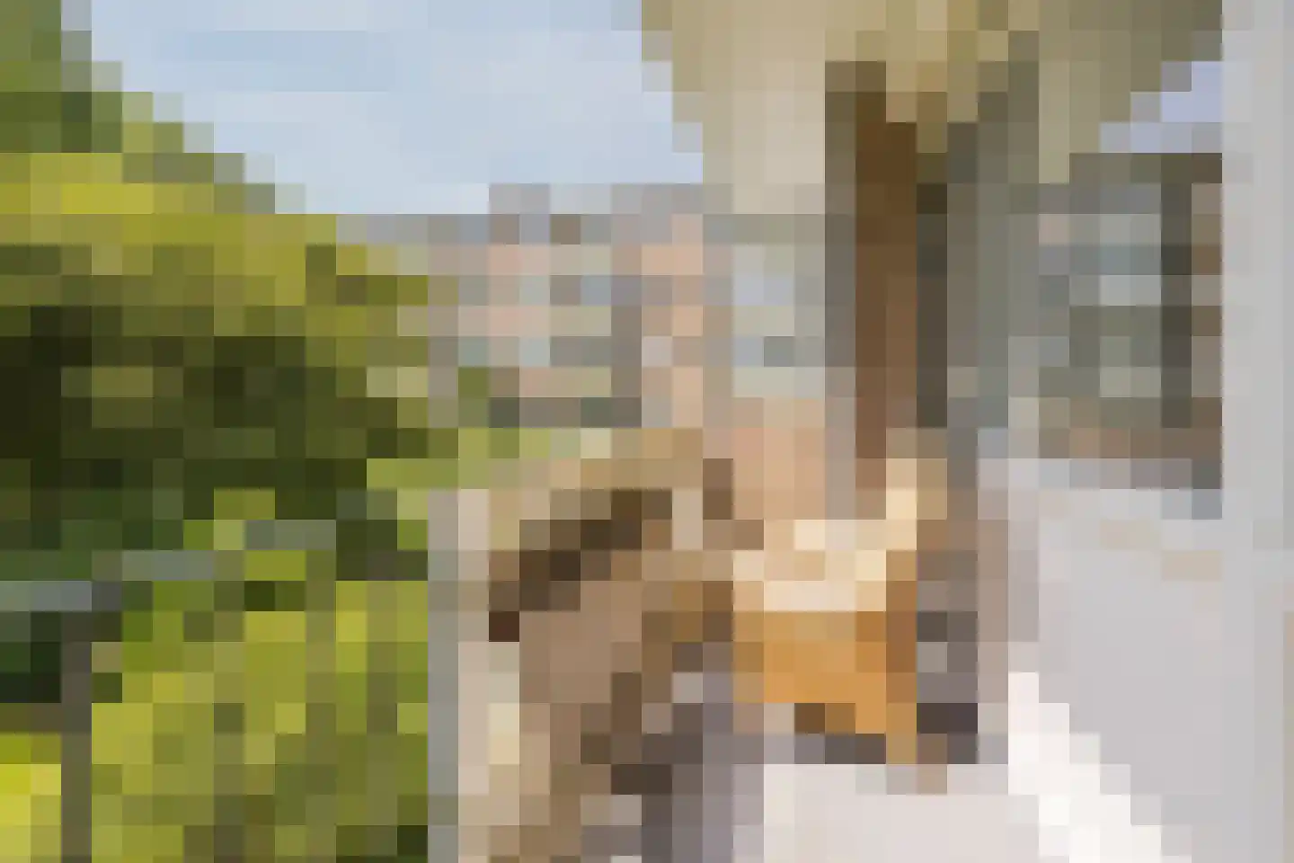 Karel Doormanlaan 38 Oegstgeest thumbnail 16